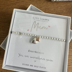 Life charms mum bracelet main image