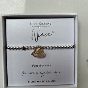 Life charms niece bracelet main image